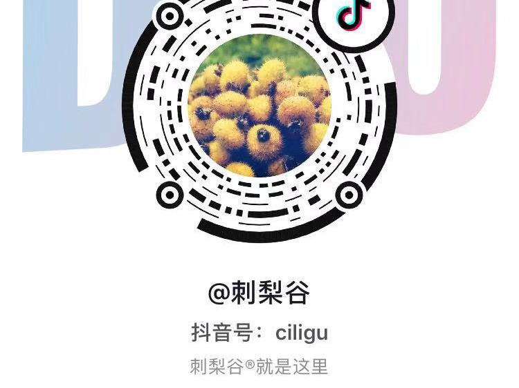 米发米·刺梨谷·抖音_刺梨谷站酷ZCOOL