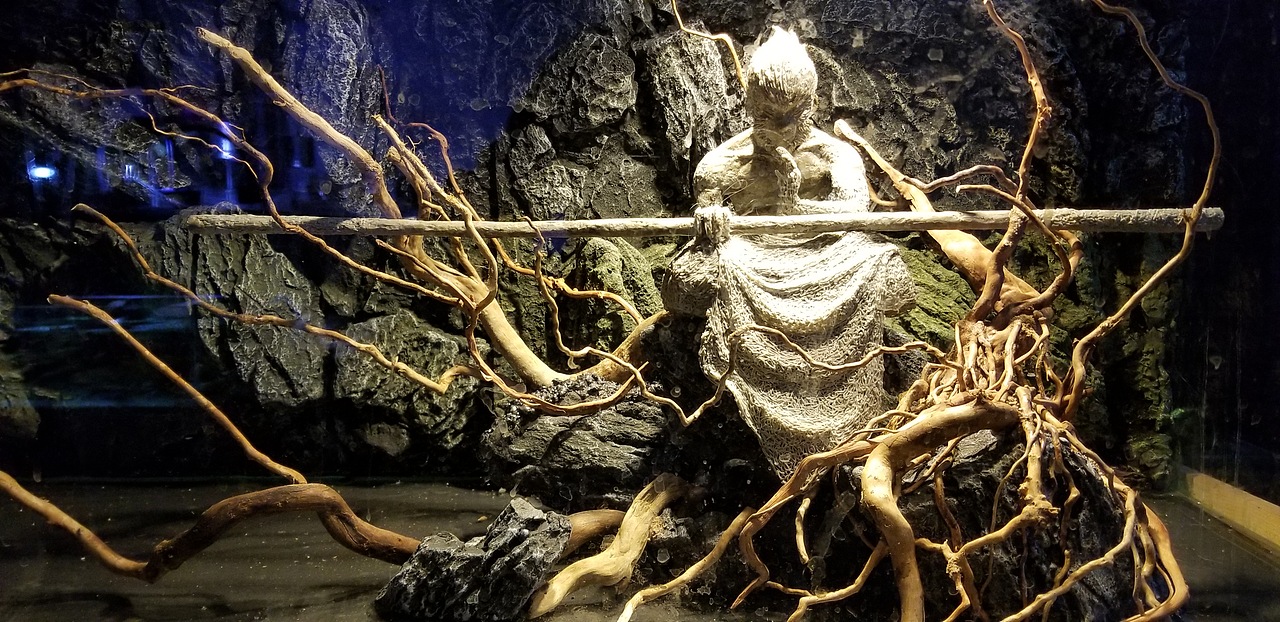 模型 悟空 南美缸