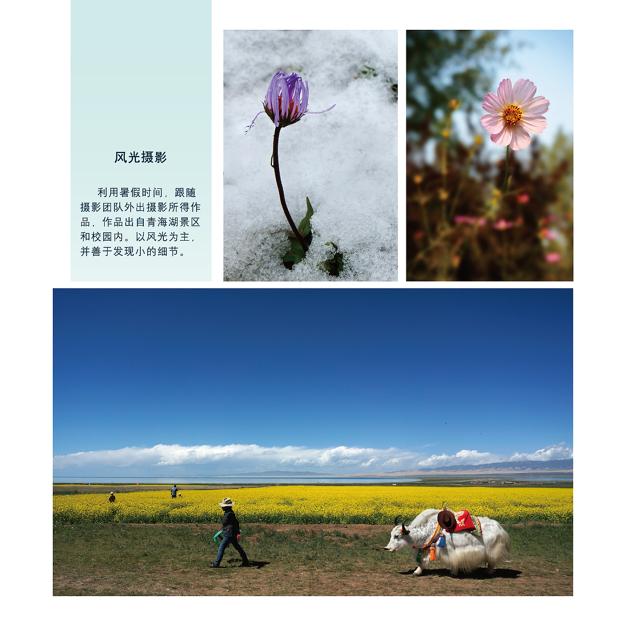 大学期间型录设计（图ZNjMxMjc4ODQ=） - 书籍/画册 - 站酷设计师立夏紫云原创素材 - 站酷ZCOOL