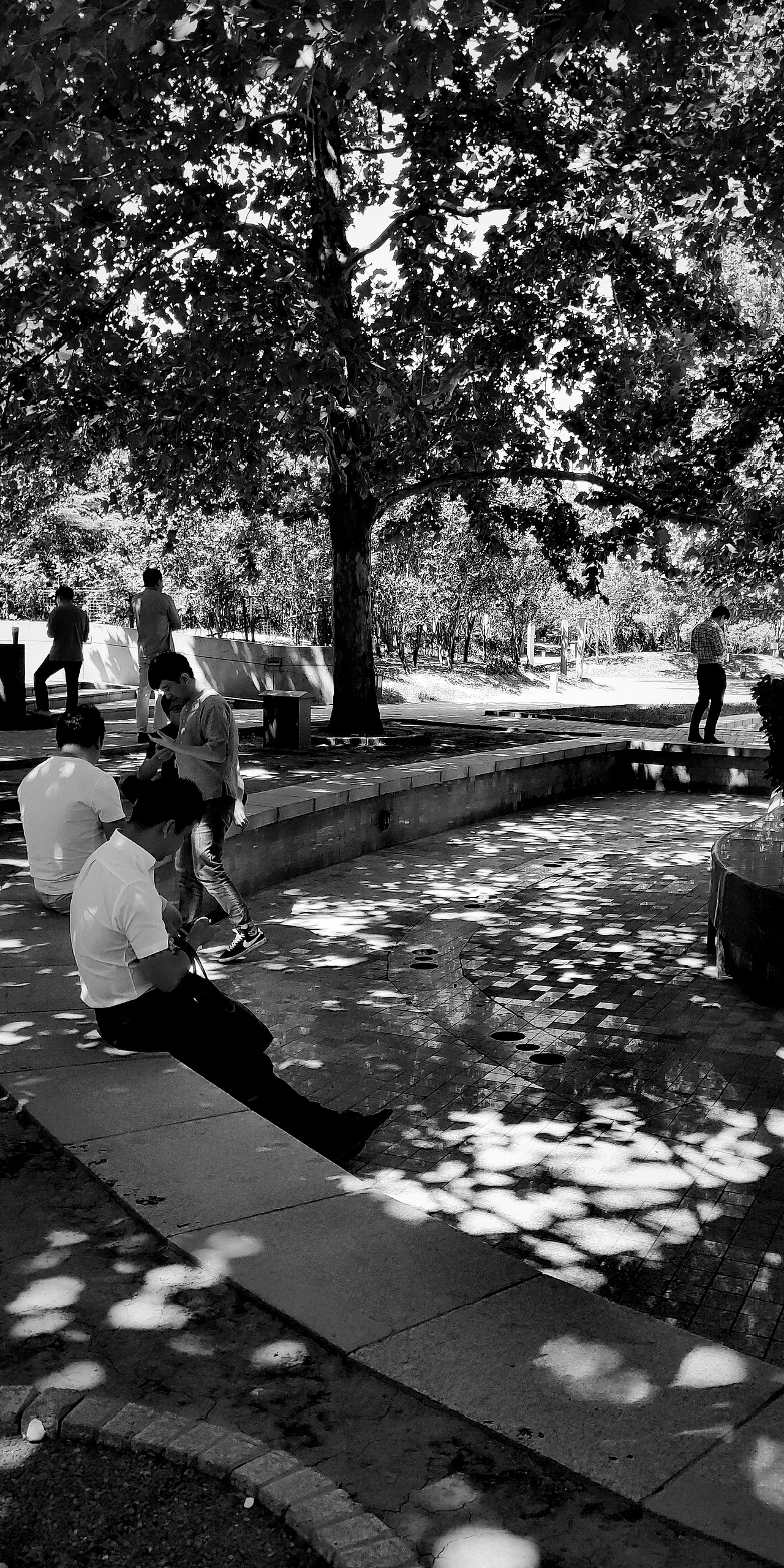 2019年北漂所见—手机随拍(上)（图ZMTk2MTI3MDEy） - 人文/纪实摄影 - 站酷设计师我是王冲原创素材 - 站酷ZCOOL