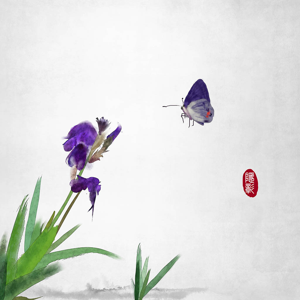 兰花蝴蝶静谧古风禅意水墨画安静中式中国风古风插画