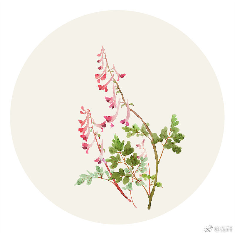 莳花。续（图ZMTU0MzU5MzQw） - 创作习作 - 站酷设计师无轩花莳记原创素材 - 站酷ZCOOL
