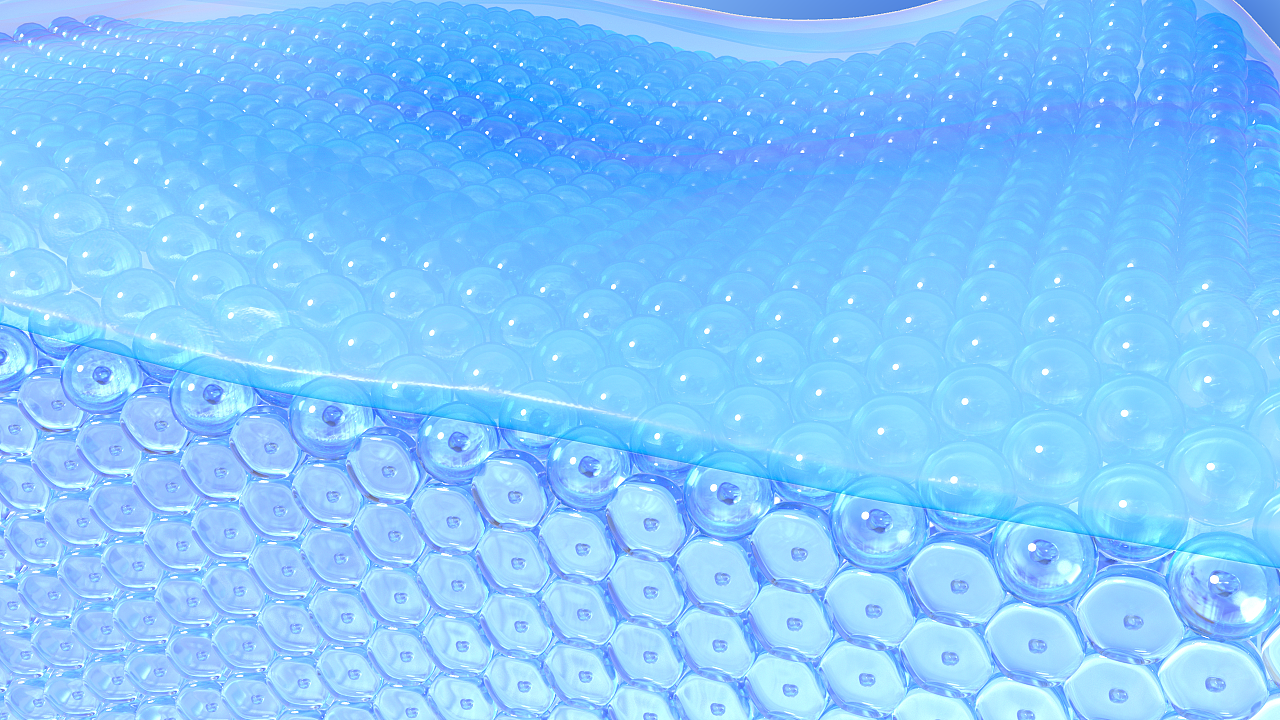 微观成分皮肤结构