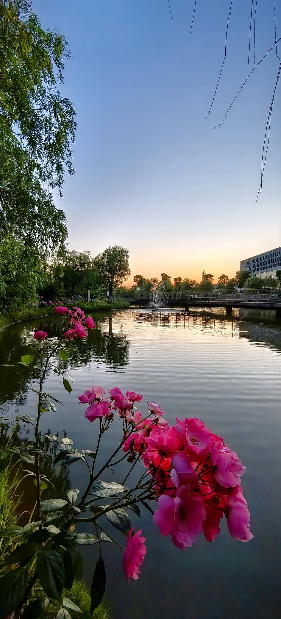 最美夕阳红（图ZMzY4NjgyMzA0） - 风光摄影 - 站酷设计师Z304427813原创素材 - 站酷ZCOOL