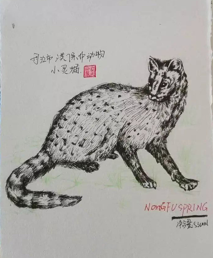 学校包装设计作业（图ZMTI1ODM2MzMy） - 宣传物料 - 站酷设计师xiu吱吱原创素材 - 站酷ZCOOL