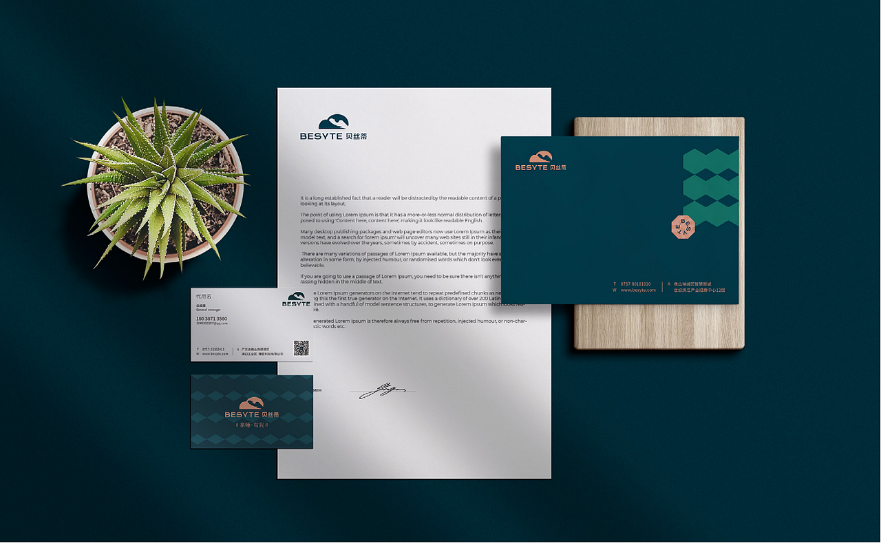 脸谱视觉传媒【贝丝蒂寝具品牌VI视觉】