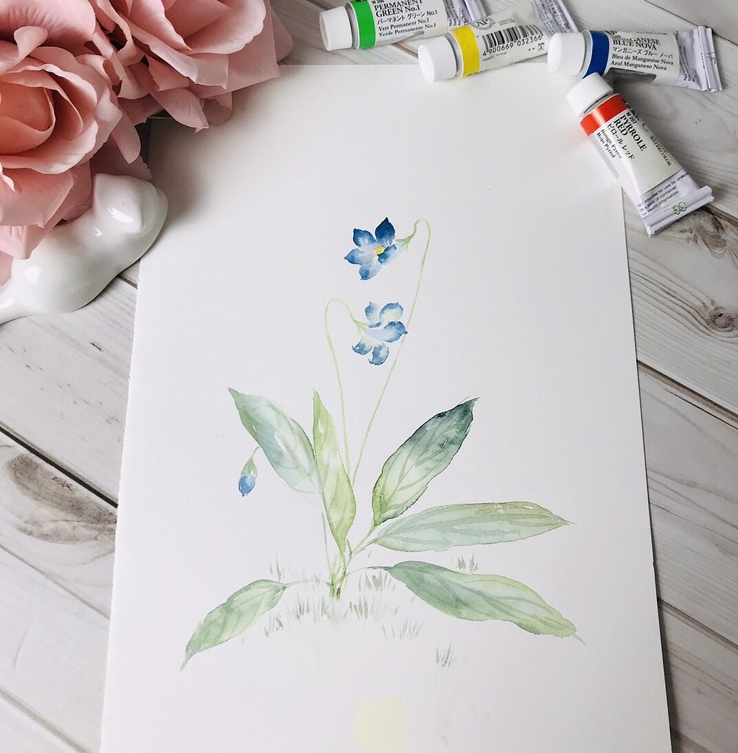 水彩花卉作品（图ZMjI0NzMyNjEy） - 绘画 - 站酷设计师闲月时光原创素材 - 站酷ZCOOL