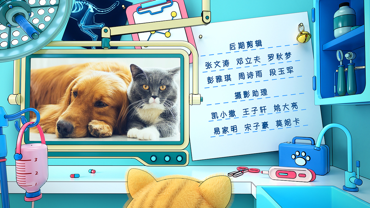 bilibili《宠物医院2》栏目视觉包装设计（图ZMTk5MzEzMTcy） - 栏目片头 - 站酷设计师_YYYS原创素材 - 站酷ZCOOL