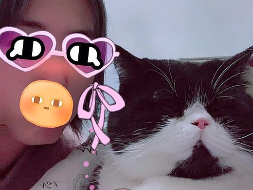 为滋滋和它三妈画的图（个人主页-ZMjUyNjM1NTY=） - 创作习作 - 站酷设计师消失失Zzz原创素材 - 站酷ZCOOL