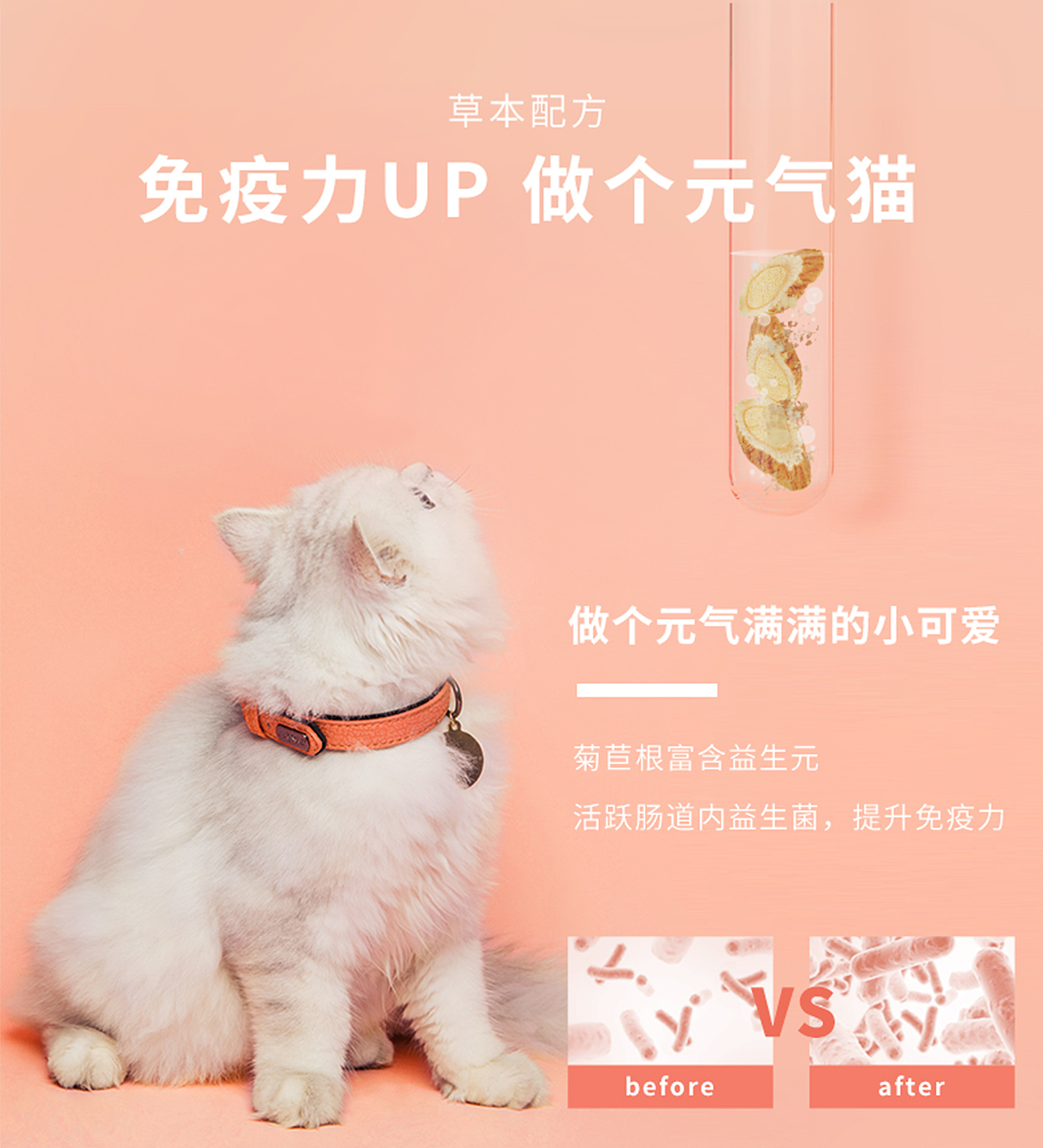 猫主粮包装设计（图ZMTc1OTY1ODg0） - 包装 - 站酷设计师青梅创意原创素材 - 站酷ZCOOL