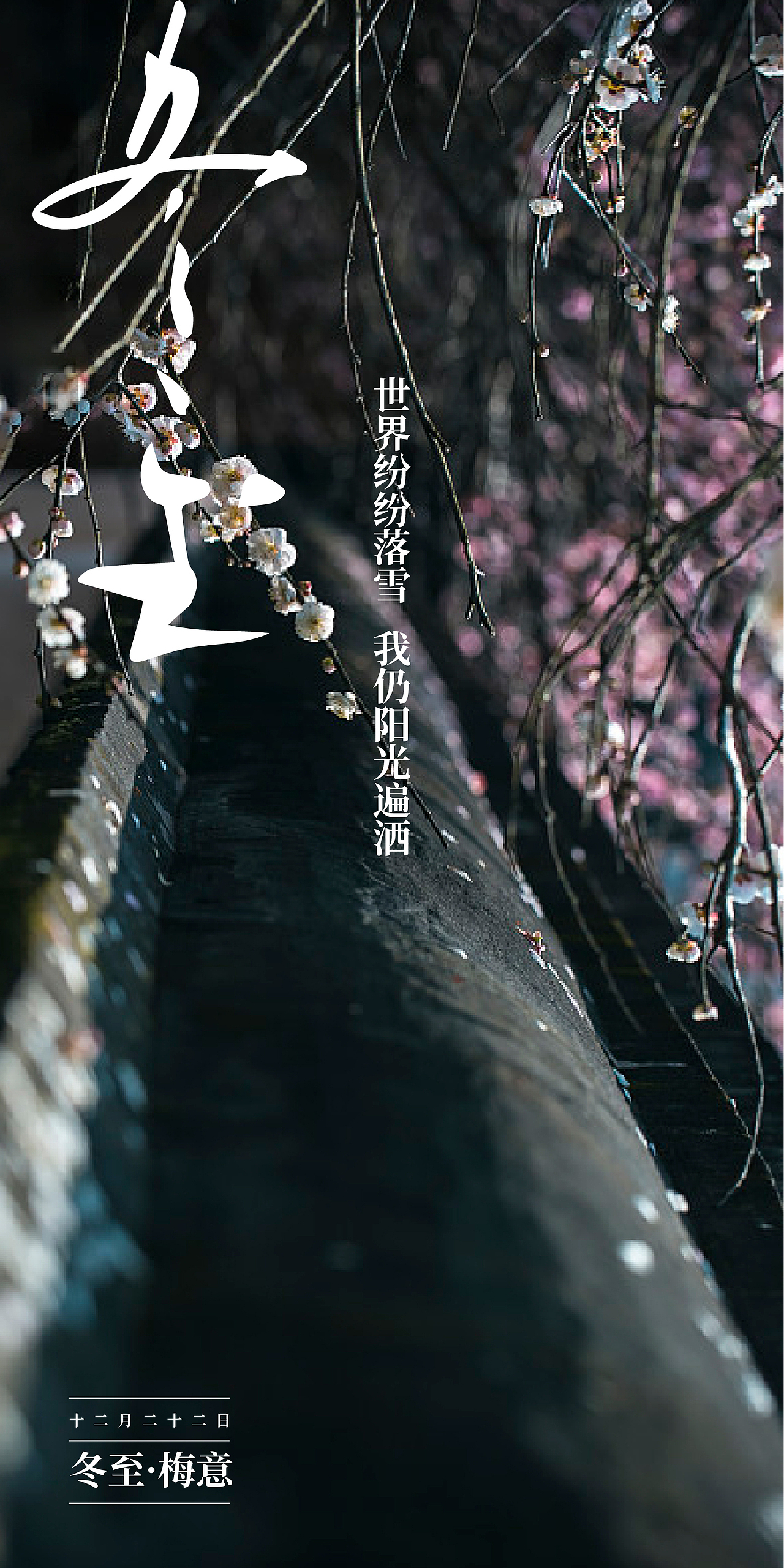 一套花里胡哨（图ZMTk1ODcwODQ4） - 其他平面 - 站酷设计师不全能电竞选手原创素材 - 站酷ZCOOL