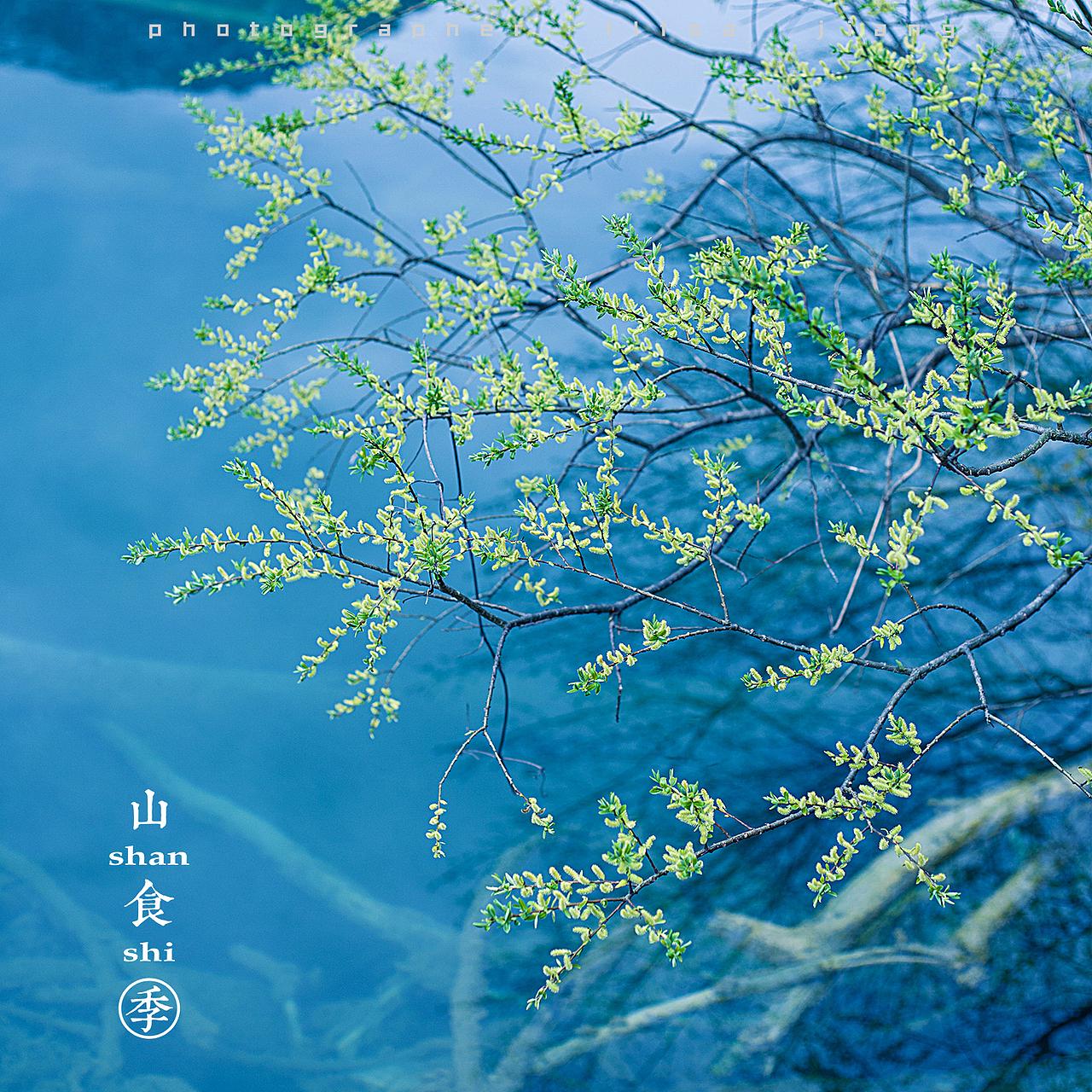 小品四季（图ZMTA4NTgyNTUy） - 产品摄影 - 站酷设计师挲lisa原创素材 - 站酷ZCOOL