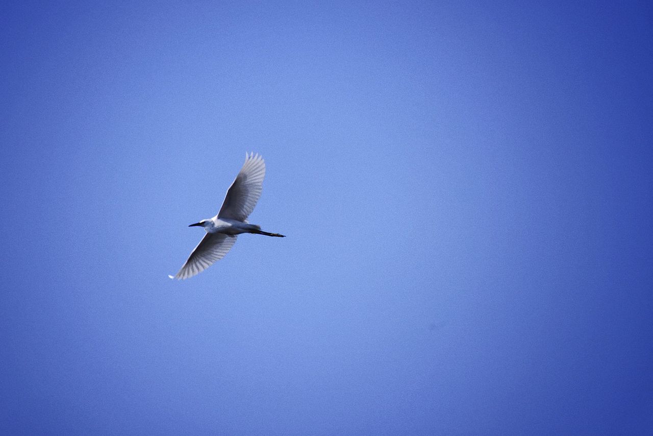 广州大刀沙村之事物篇 Vol.1