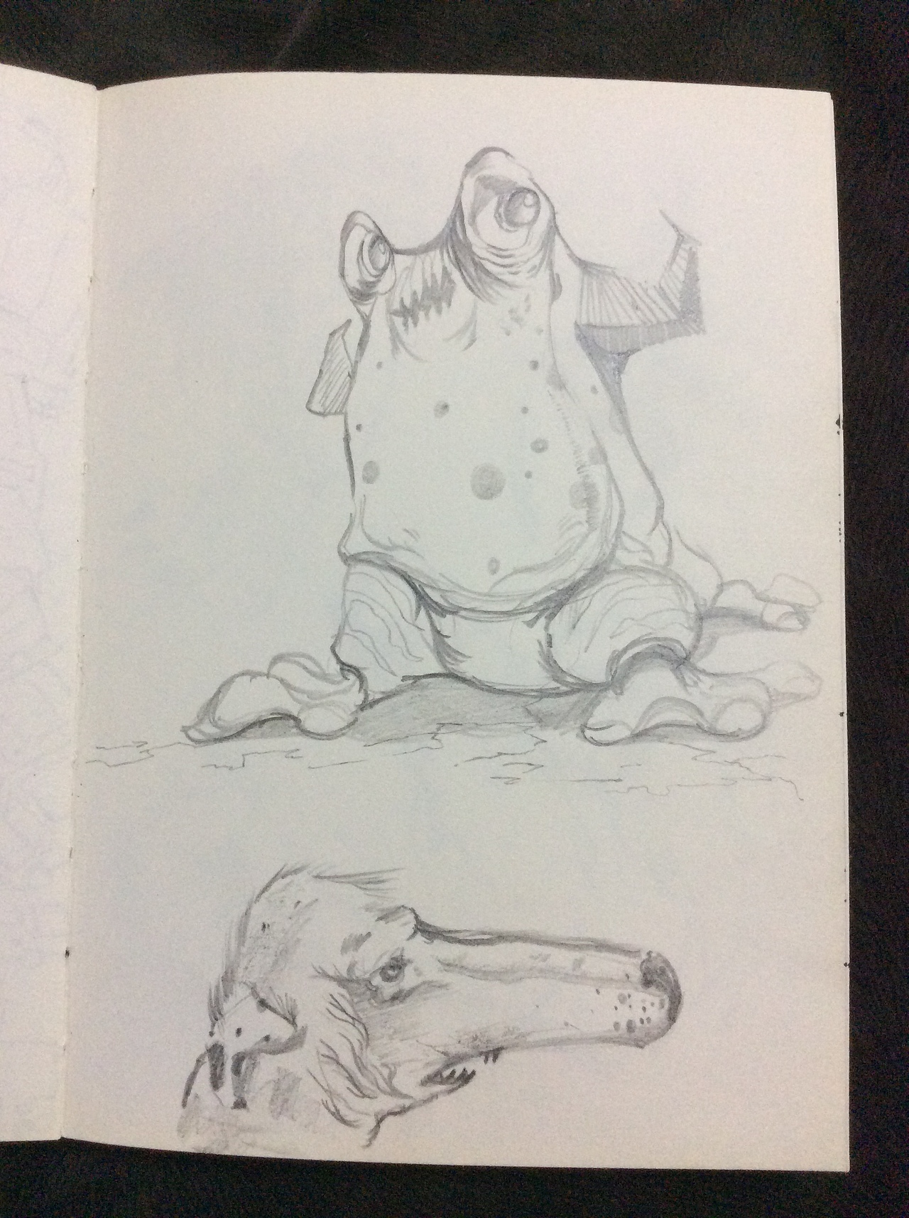 小本本你还好么