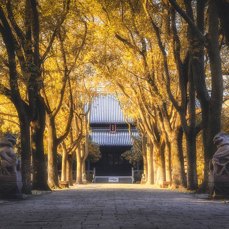 竹笙1的個(gè)人主頁（背景預(yù)覽） - 主頁背景設(shè)置 - 站酷設(shè)計(jì)師竹笙1原創(chuàng)素材 - 站酷ZCOOL