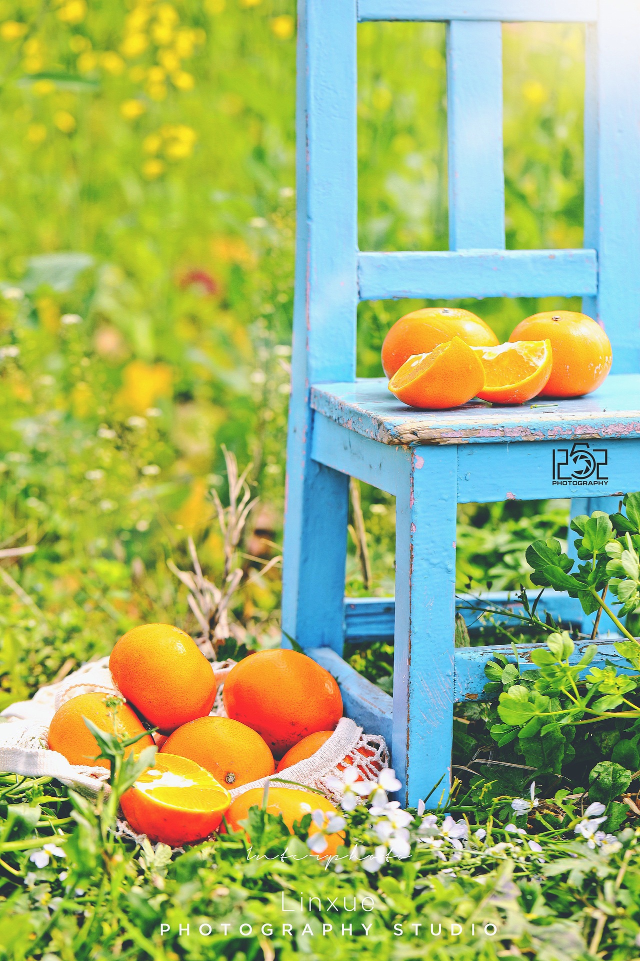 1252第87轮约拍#橙色#