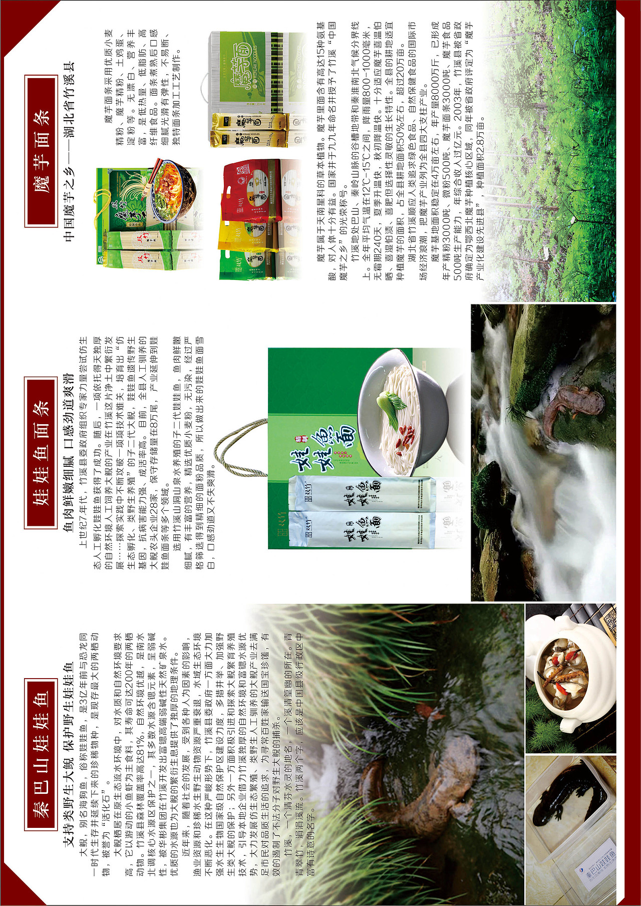 宣传单页 三折页
