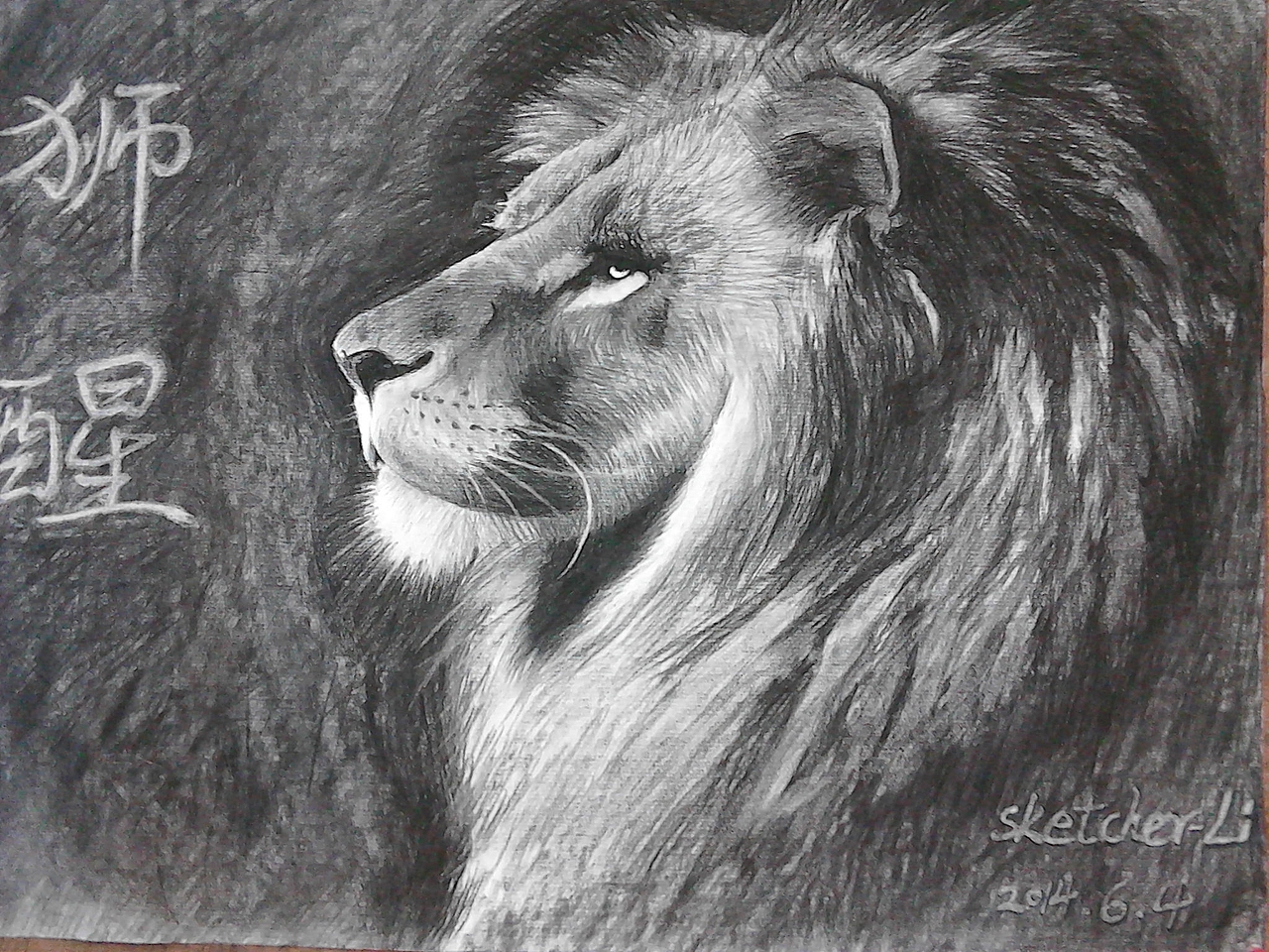 狮醒碳笔画