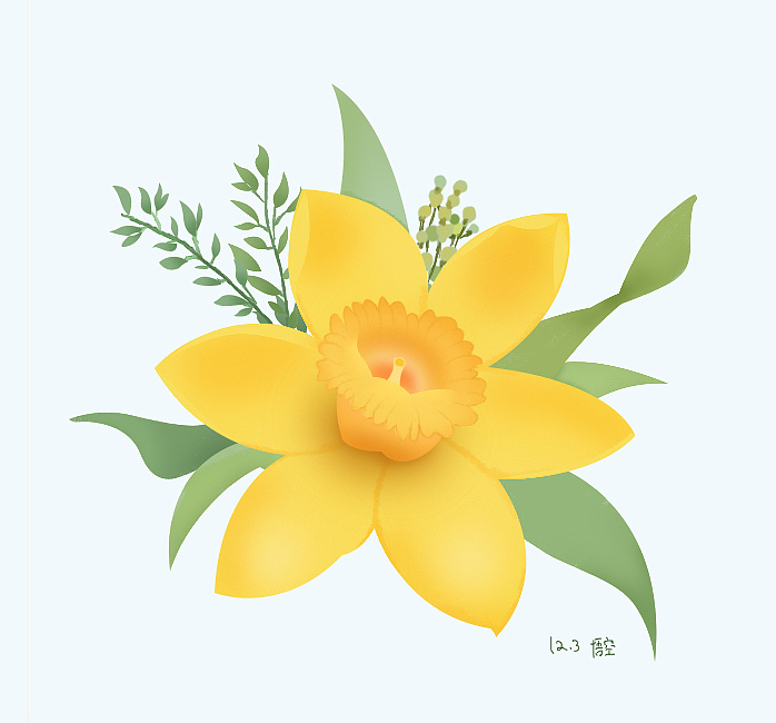 加拿大一枝黄花卡通图片