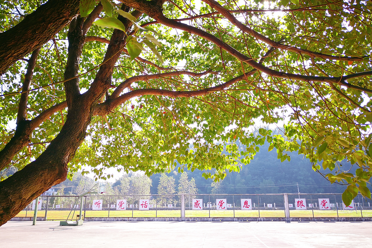 小梦的随手拍-第2期