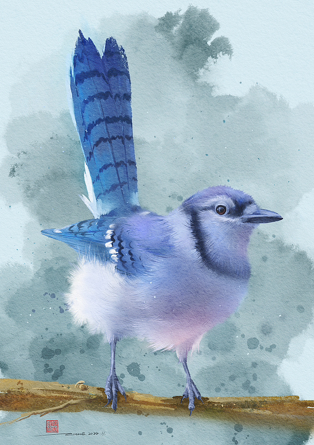 水彩插画|小动物篇