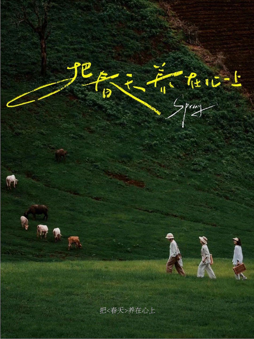 手写字合集-种自己的花，爱自己的宇宙（图ZMzY2MzQxOTcy） - 字体/字形 - 站酷设计师晚风在设计原创素材 - 站酷ZCOOL