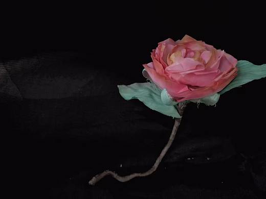 浪漫是生命之盐（个人主页-ZMjQ3MDAwMjQ=） - 首饰设计 - 站酷设计师清风吹过绵绵森林原创素材 - 站酷ZCOOL