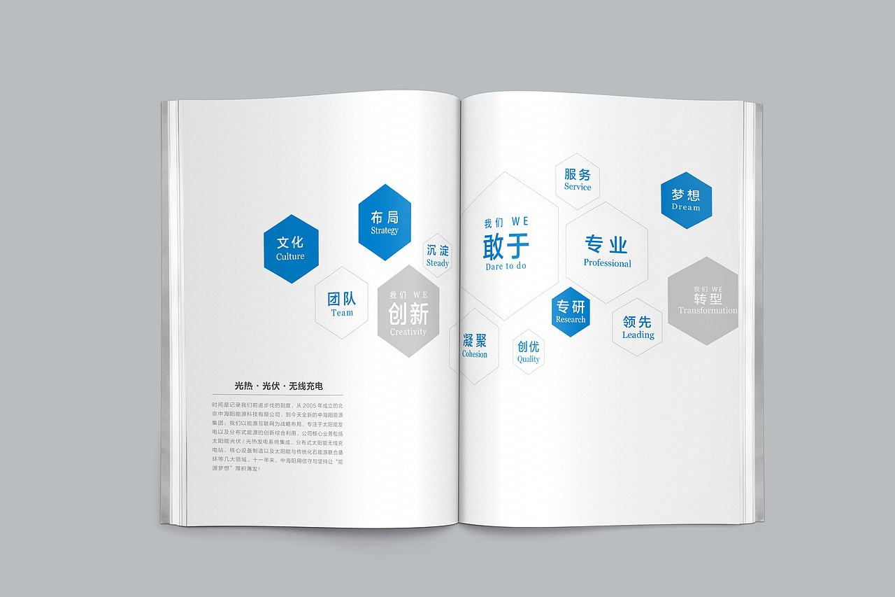 画册设计-能源公司Sundhy英文版画册