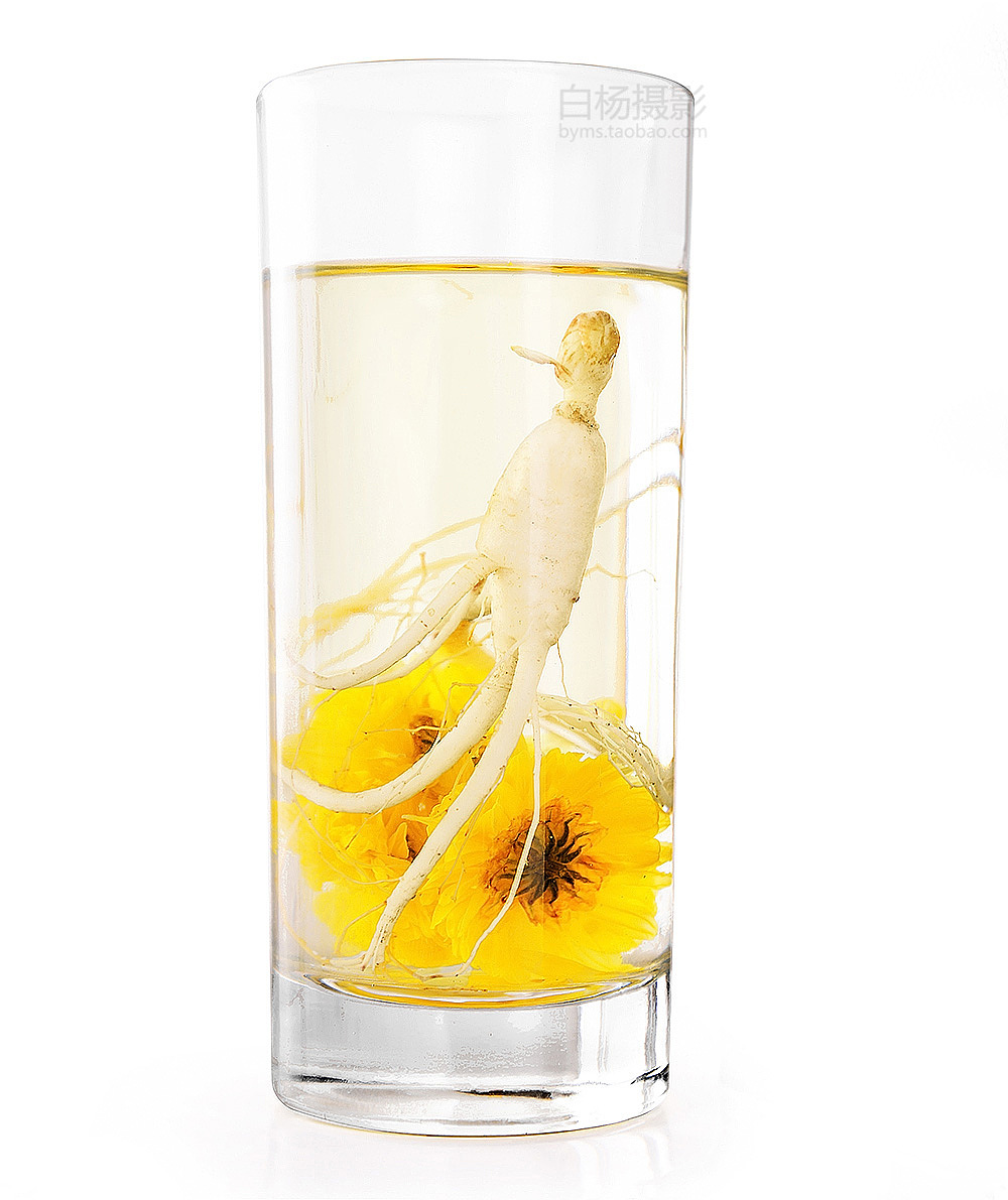 人参菊花茶白杨摄影