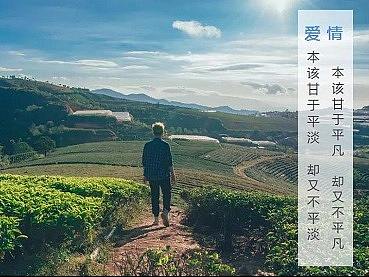 愿心情感-挽救婚姻-情感咨询