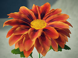 收集一下自己2020年在學(xué)習(xí)之路的上的一些個(gè)人cg練習(xí)