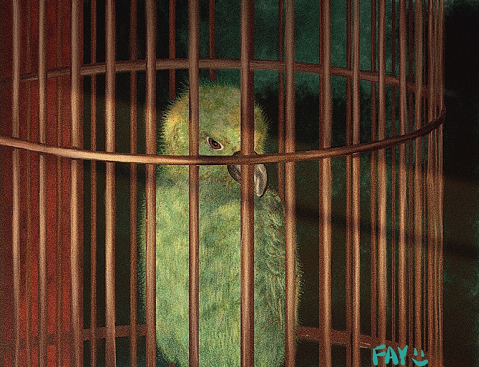 孤独的笼中囚鸟图片图片