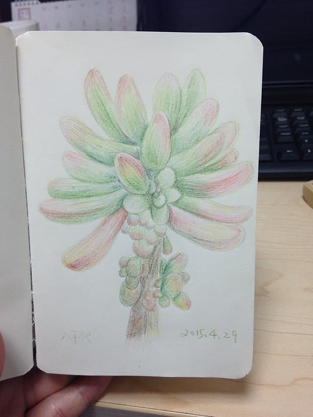 要:好好学习天天向上