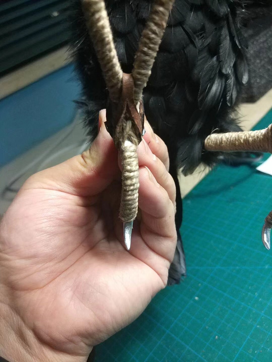 《独角仙黑鸦图》明子