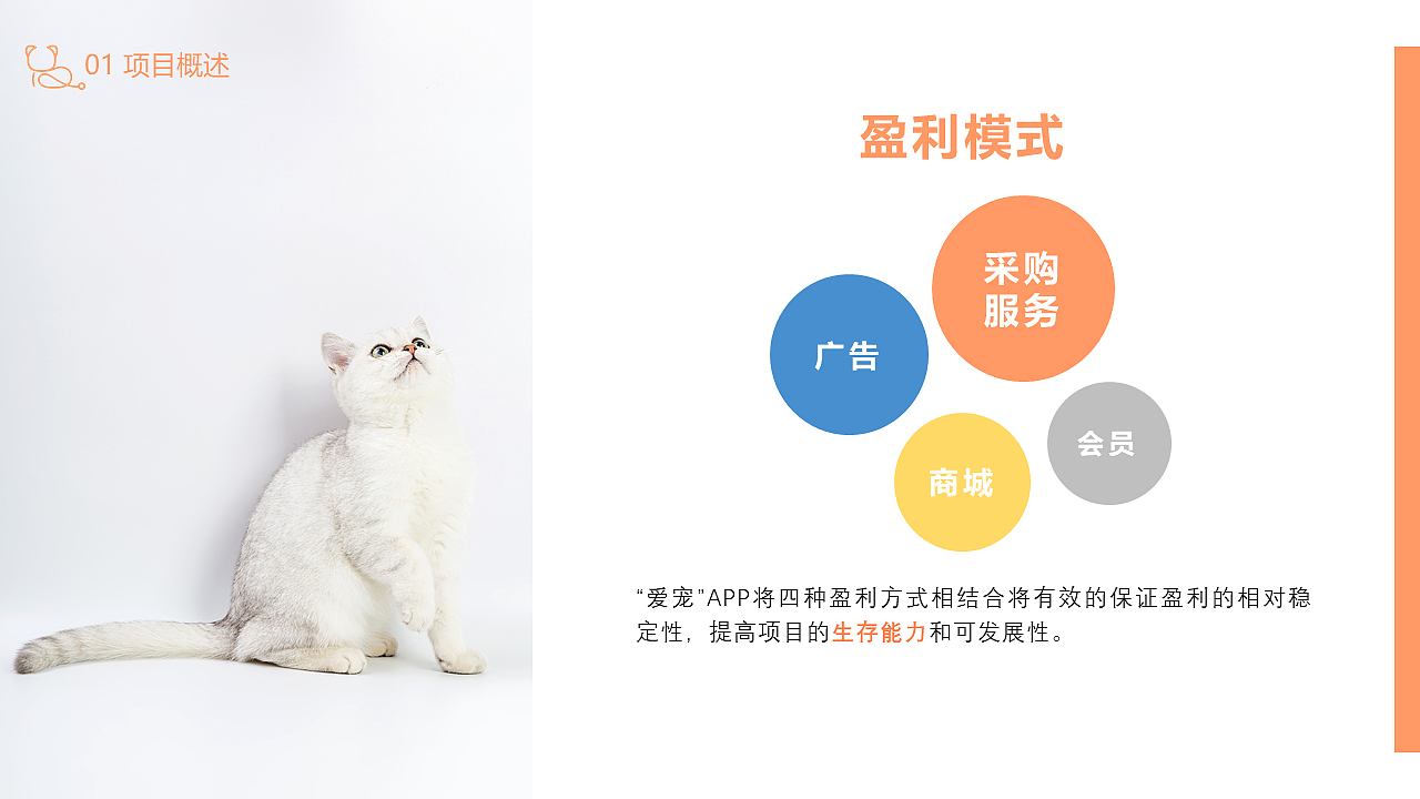 宠物医院商业计划书（图ZMTkzODkzMTgw） - PPT/Keynote - 站酷设计师枭sir原创素材 - 站酷ZCOOL