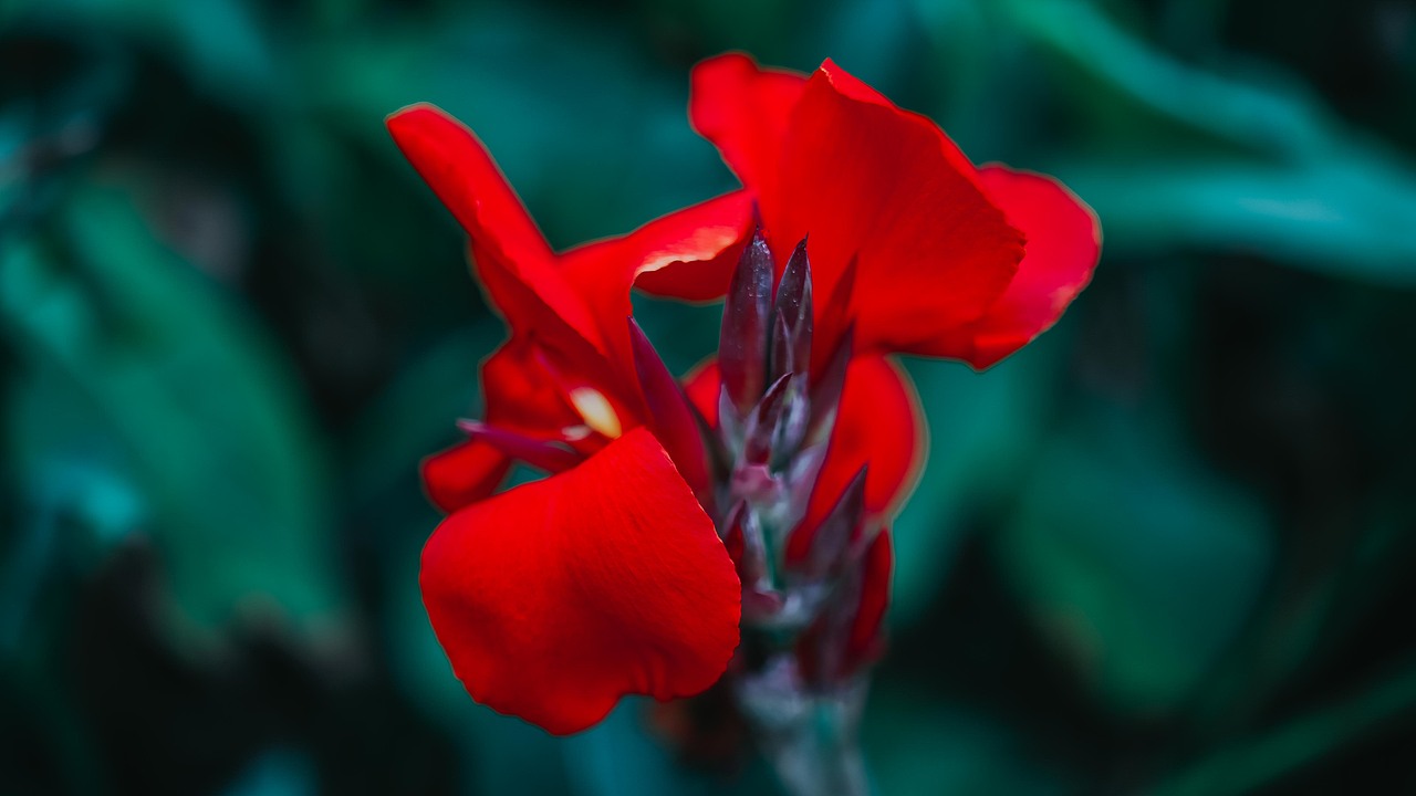 “义乌秋色”-雪峰公园