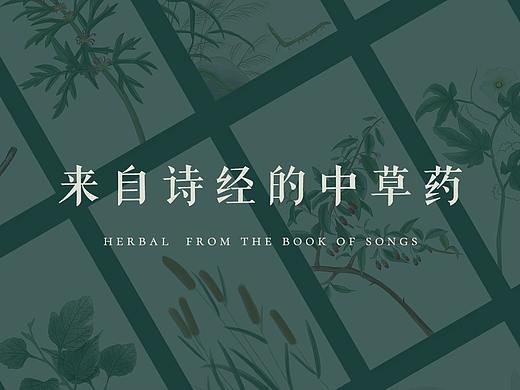 来自诗经的中草药