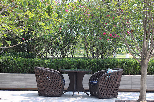 奥体公元101让您真正体会家与学校为邻的便利