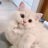 七柒gzq的头像
