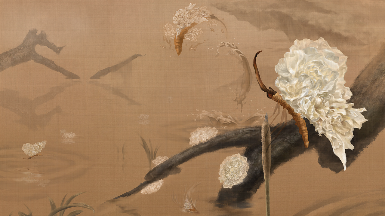 虫草银耳|插画|商业插画|酱油boy_原创作品-站酷zcool