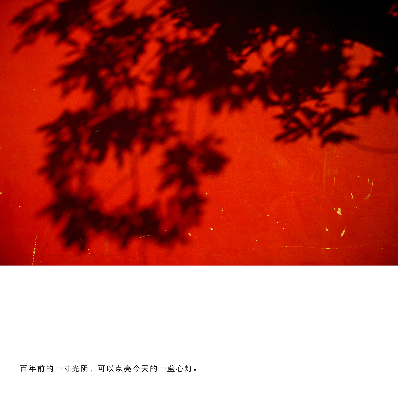 紫禁城的夏（图ZMTE2NDUwMzE2） - 风光摄影 - 站酷设计师甄星星原创素材 - 站酷ZCOOL