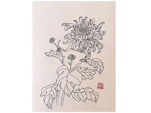 线描—练习