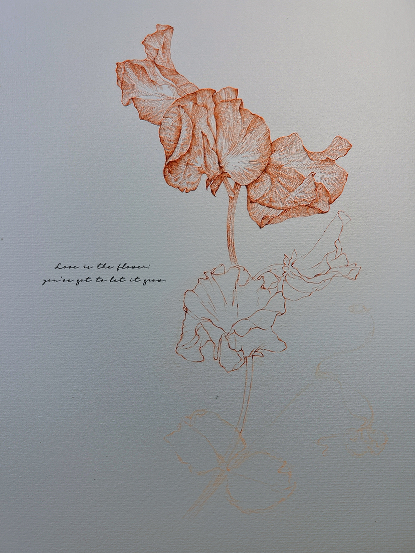 蘸水笔针管笔｜三种豆花科普（图ZMzY5Mzc3NDQ0） - 艺术插画 - 站酷设计师CatCastleDZ原创素材 - 站酷ZCOOL