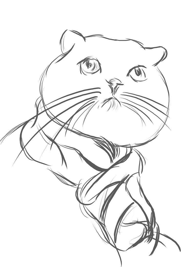 随手（图ZMTAxOTAzMDA0） - 创作习作 - 站酷设计师十一与猫原创素材 - 站酷ZCOOL