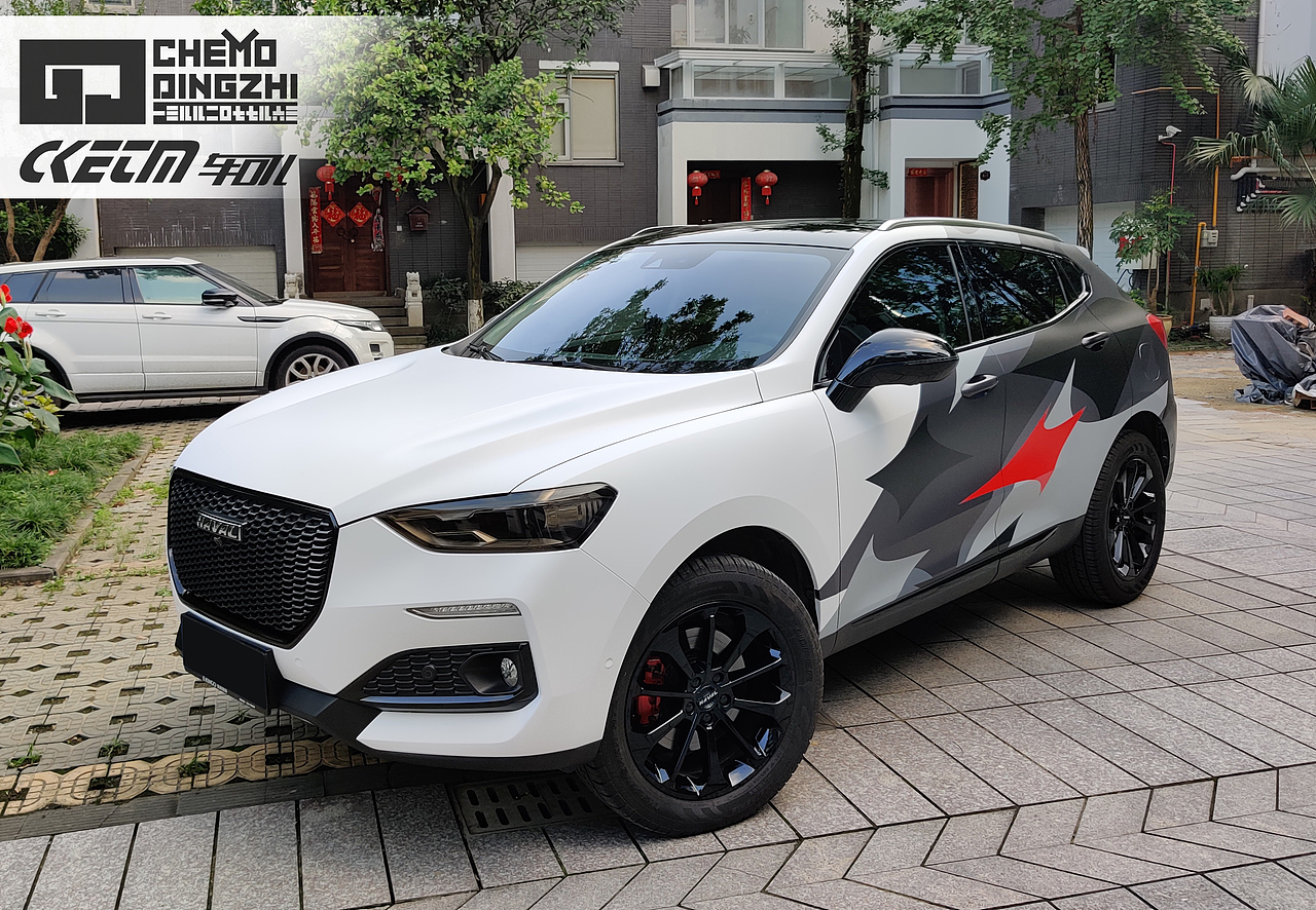 汽车车膜个性化定制真实呈现（已备案）