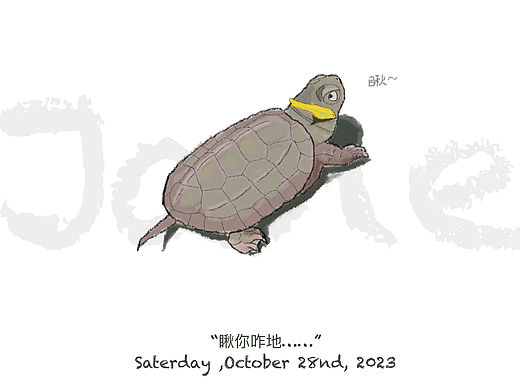 龟和鱼（个人主页-ZNjY5MzYwNzY=） - 创作习作 - 站酷设计师青山氤氲原创素材 - 站酷ZCOOL