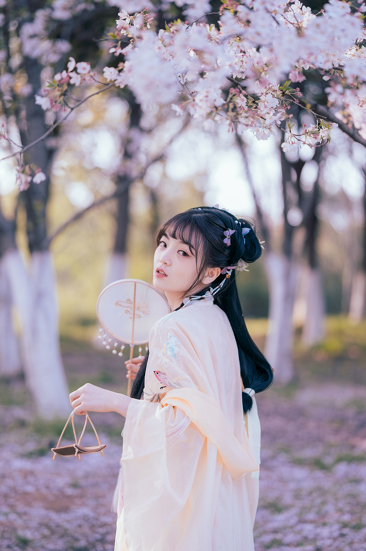 樱花落（图ZMjA0MzMxNzAw） - 人像摄影 - 站酷设计师拍照的青山原创素材 - 站酷ZCOOL