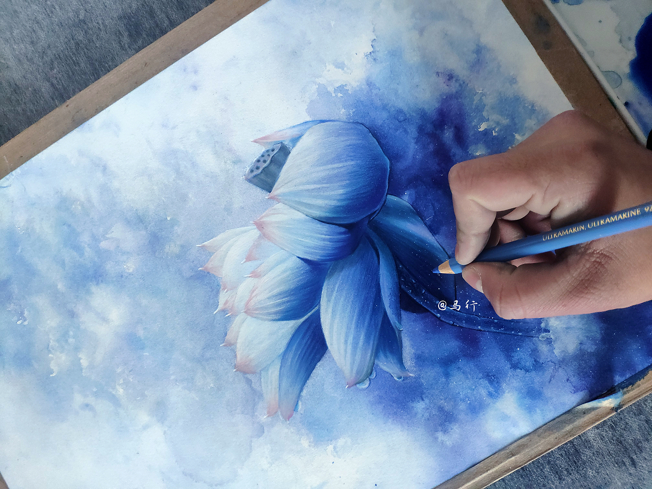 荷（图ZMjc0NTU2NDQ4） - 绘画 - 站酷设计师马行画彩铅原创素材 - 站酷ZCOOL