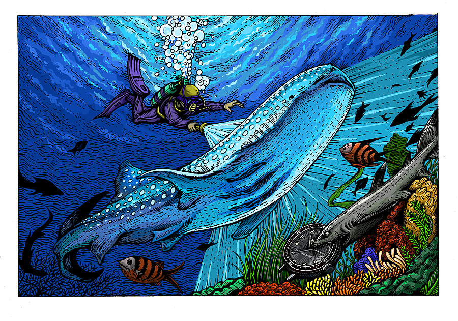 深海系列遇见鲸鲨手绘过程