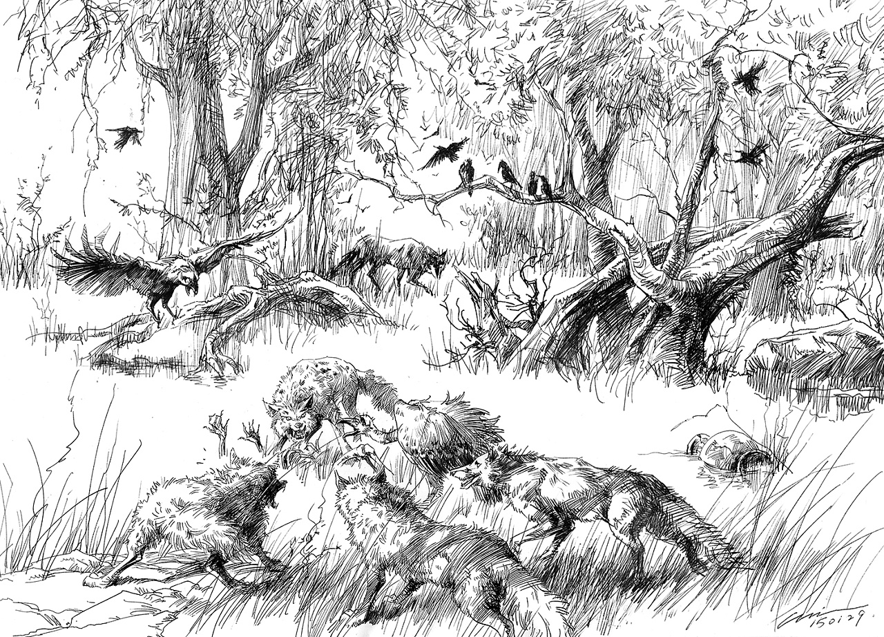 圆珠笔画练习,森林狼